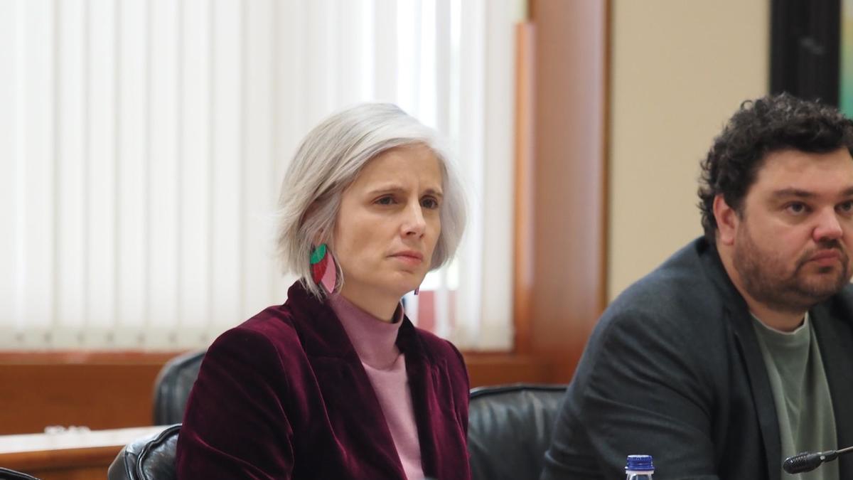 La diputada socialista, Patricia Iglesias
