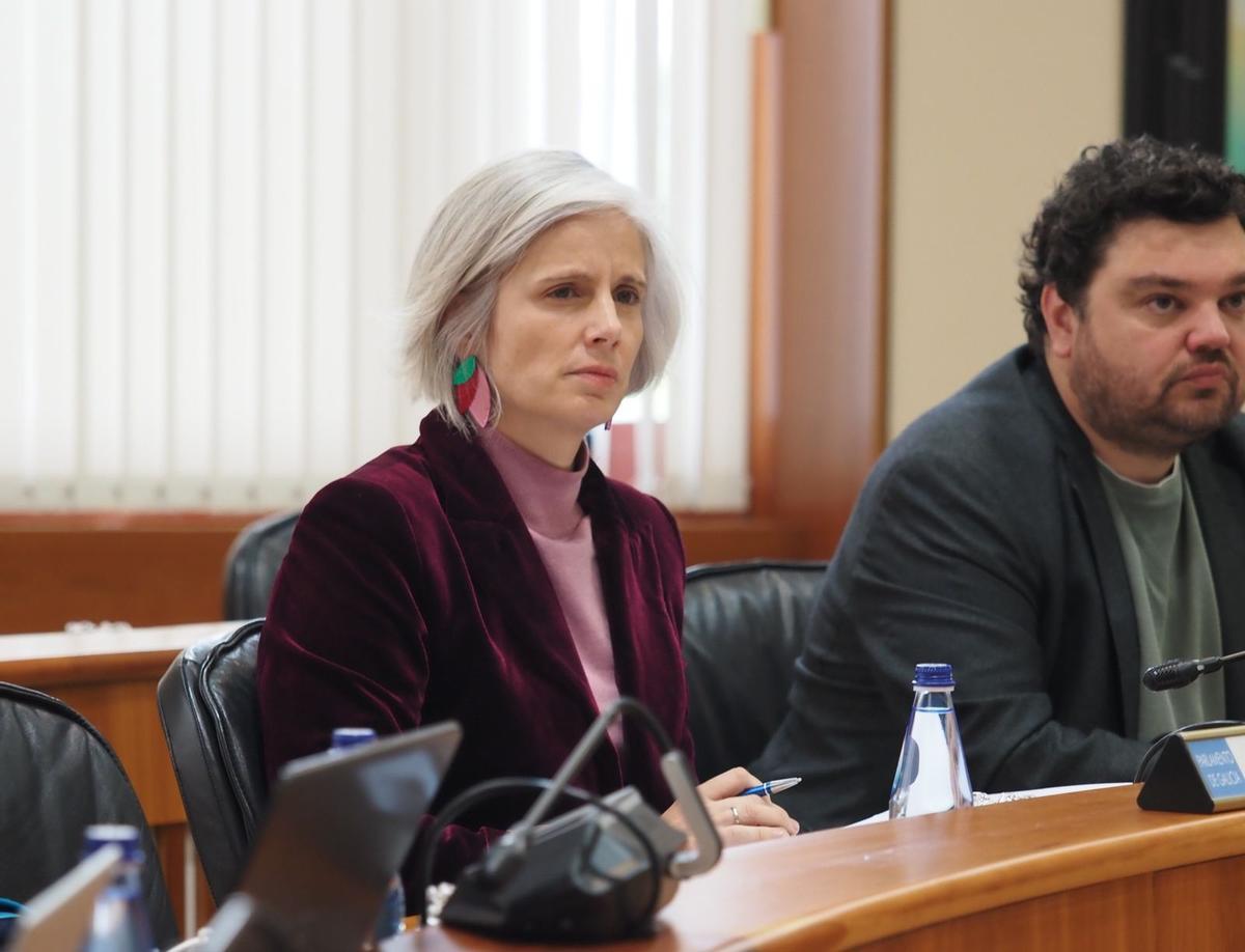 La diputada socialista, Patricia Iglesias