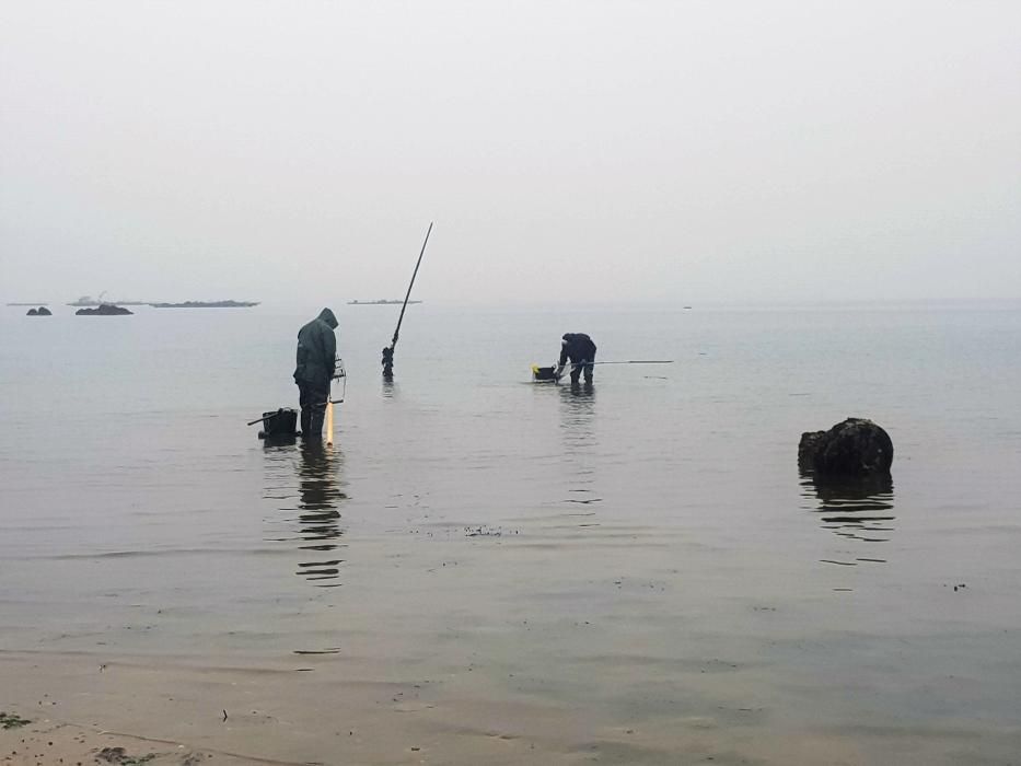 El marisqueo regresa a la ría.