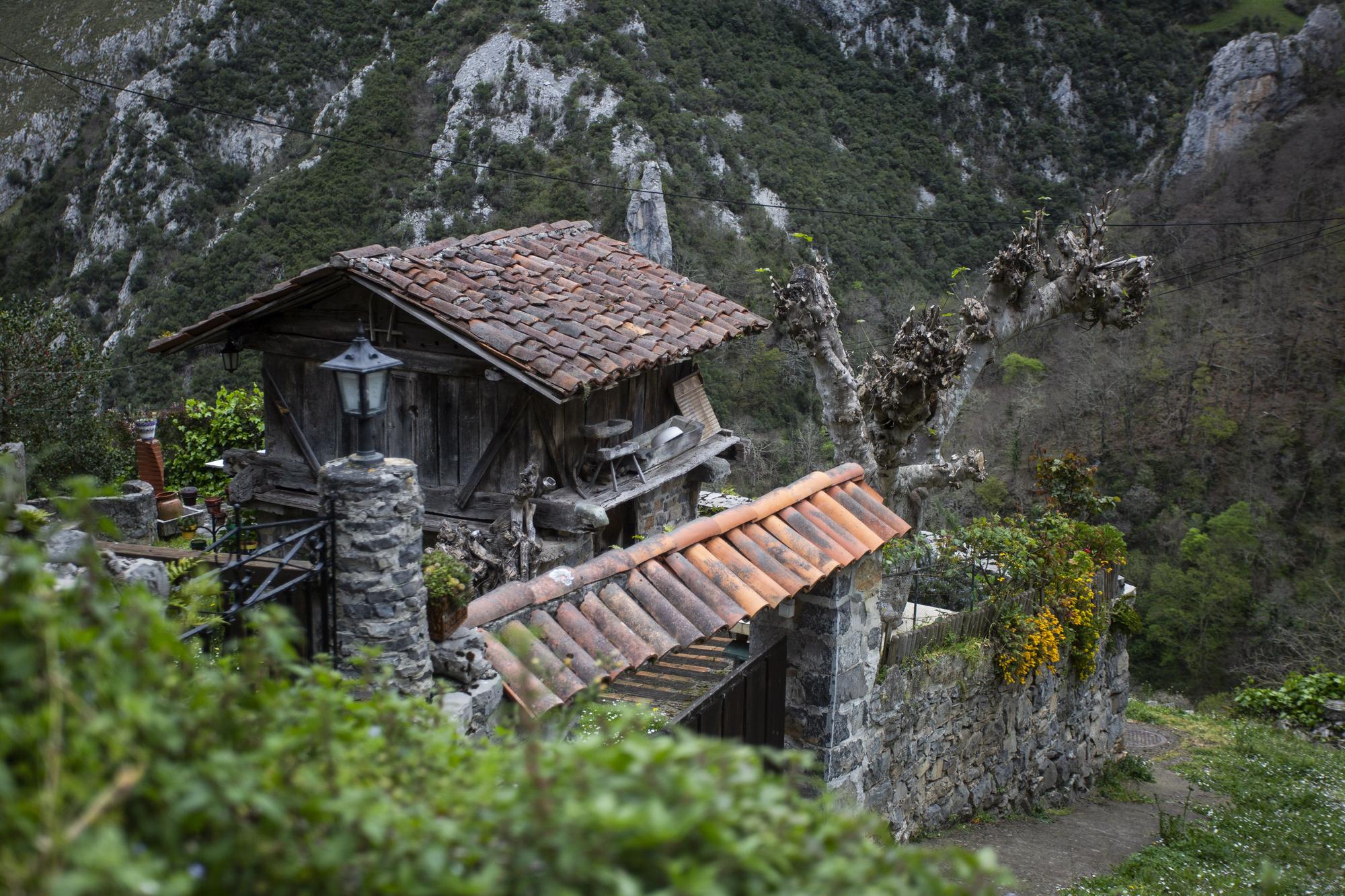 Asturianos en Ponga: un recorrido por el municipio