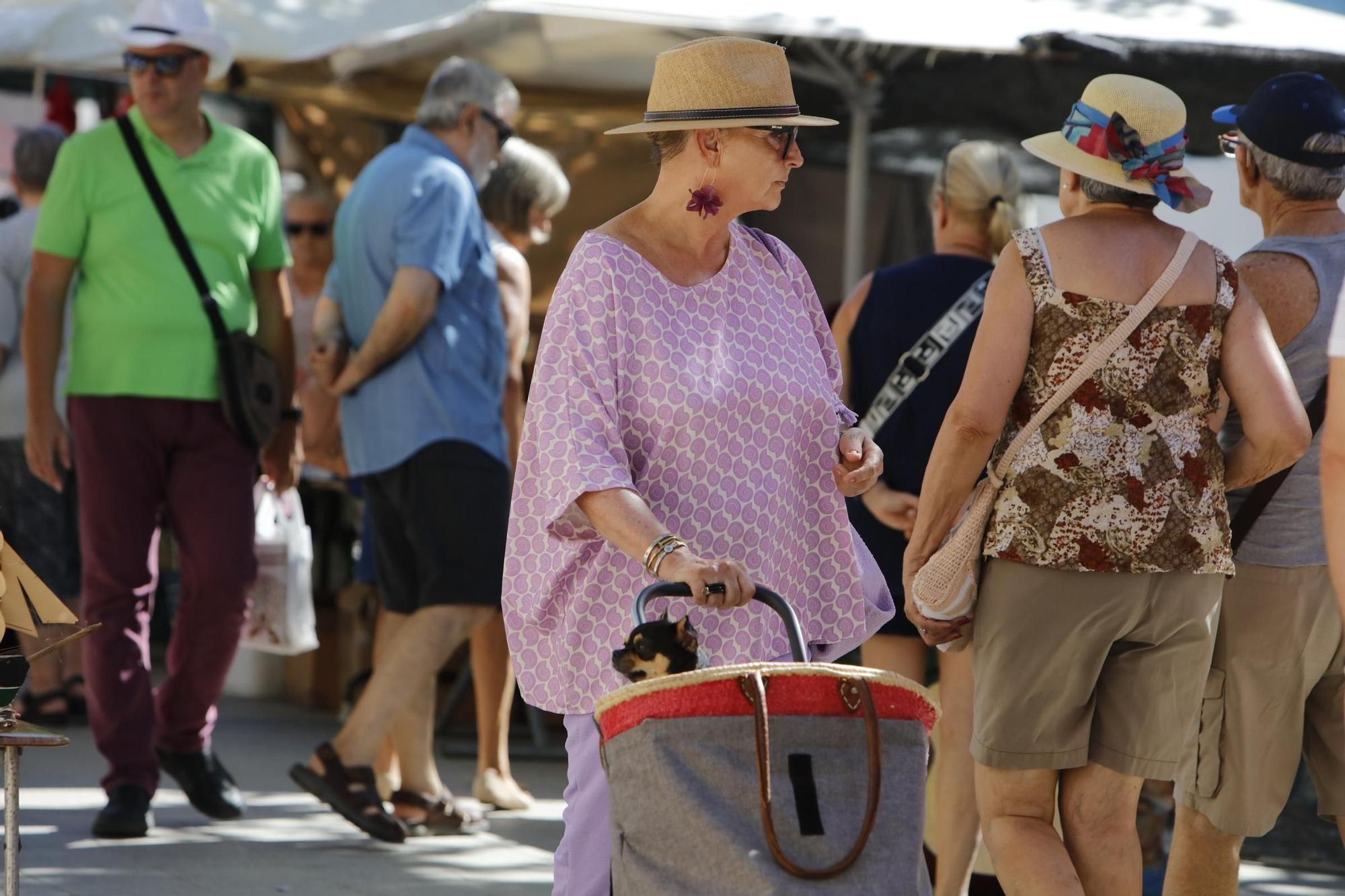 Das authentische Mallorca: Besuch auf dem Wochenmarkt in Llucmajor