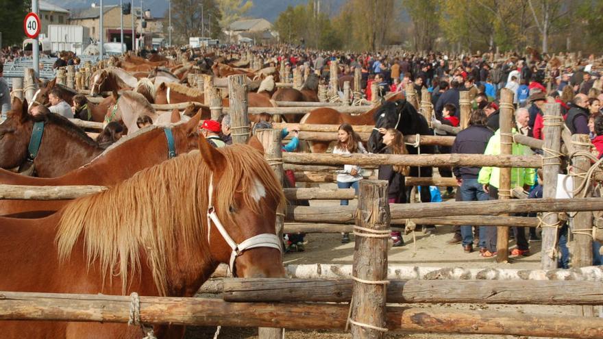 Puigcerdà celebra la seva fira