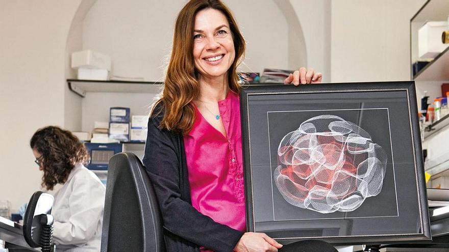 Crean en laboratorio los primeros embriones humanos sintéticos usando células madre