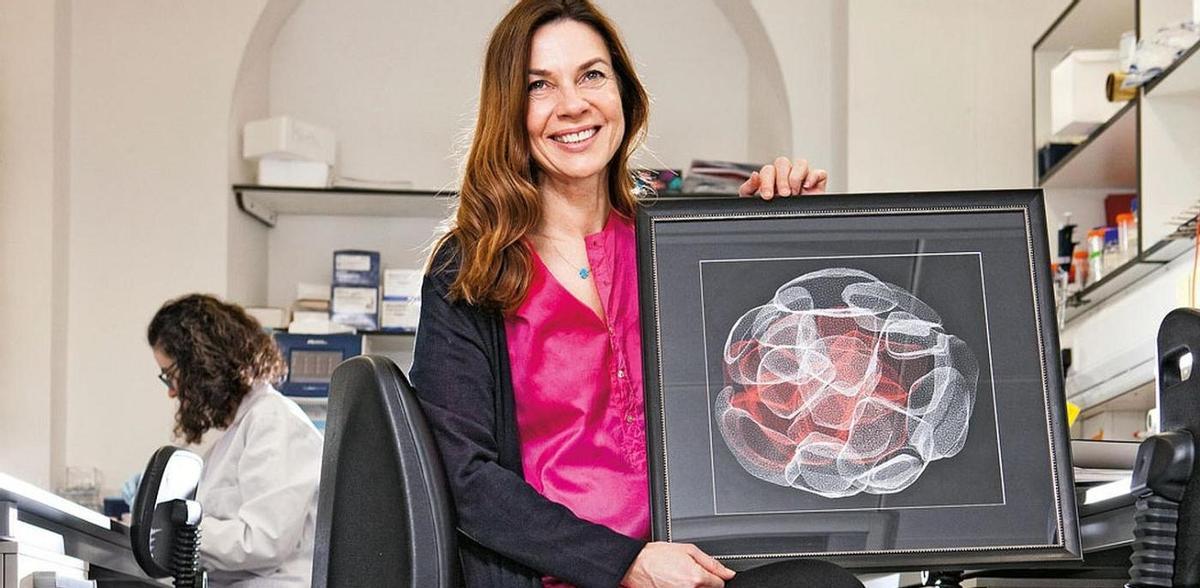 Magdalena Żernicka-Goetz, la científica que ha anunciado los primeros embriones humanos sintéticos creados con células madre, con un embrión de ratón en 2017.