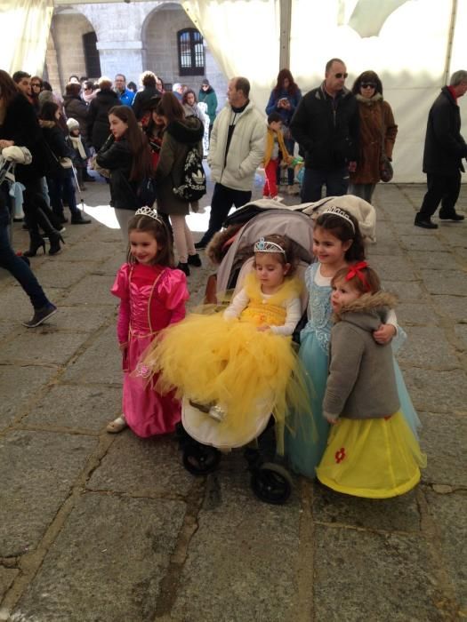 Carnaval en Toro: Concurso de mascotas