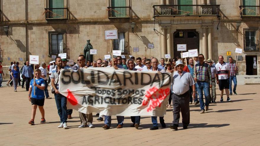 Unos 150 regantes de Valladolid piden agua a Almazán (Soria)