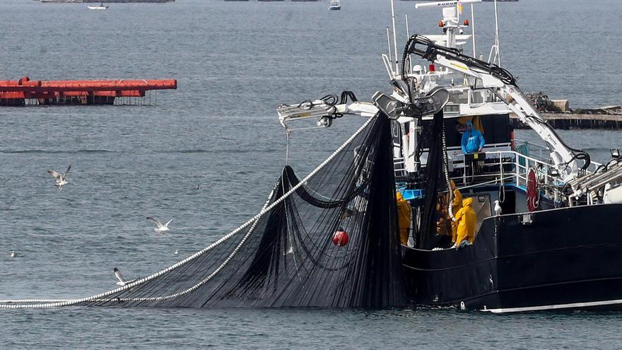 La pesca del cerco en la ría de Arousa, esta misma semana.