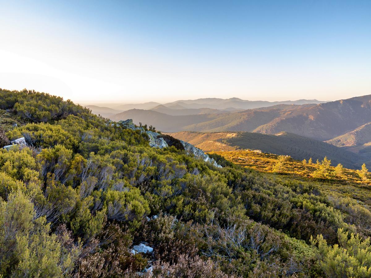 Sierra de Ayllón