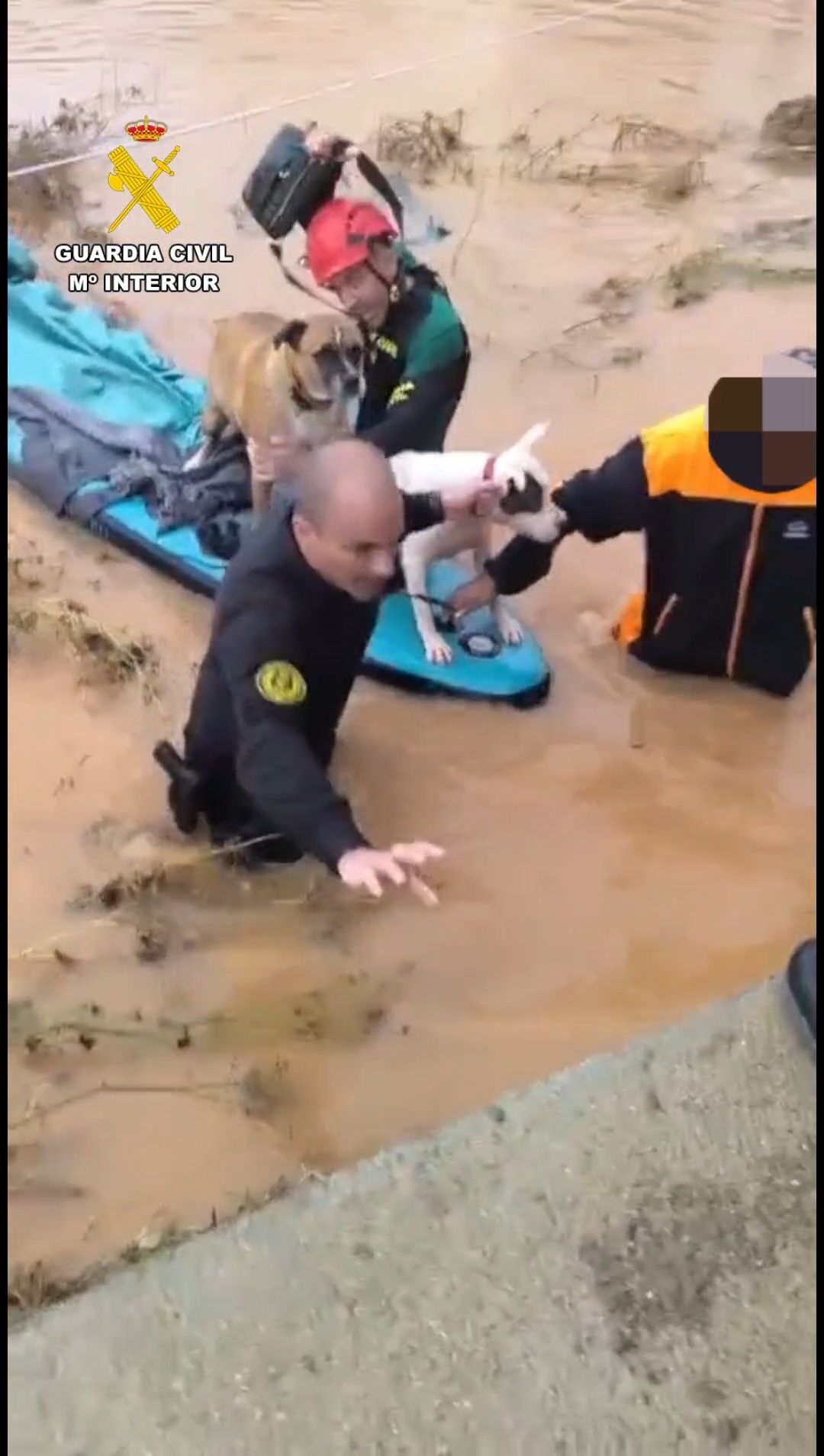 Galería: Todas las imágenes de los rescates realizados durante el temporal en Ibiza