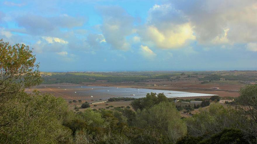 El Consell informa en contra de los parques solares de Santa Cirga y Sa Caseta