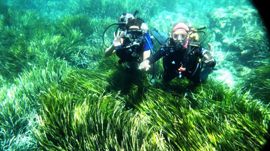 Cabo Tiñoso, entre una reserva pesquera y un paraíso para el buceo