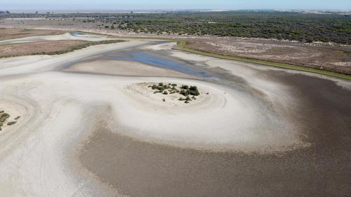 La laguna de Santa Olalla, en Doñana, seca.