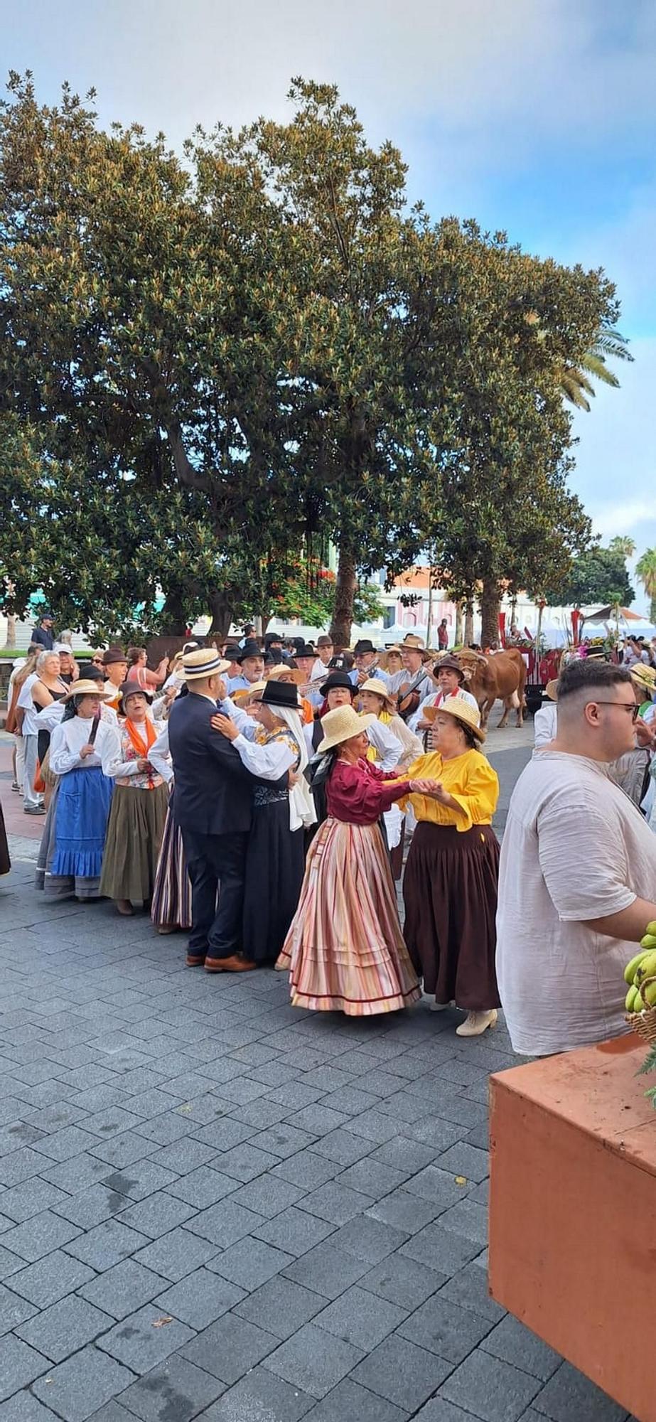 Romería de la Naval, en imágenes