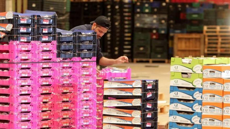 Un trabajador apila cajas de fruta en la lonja de Cartagena.