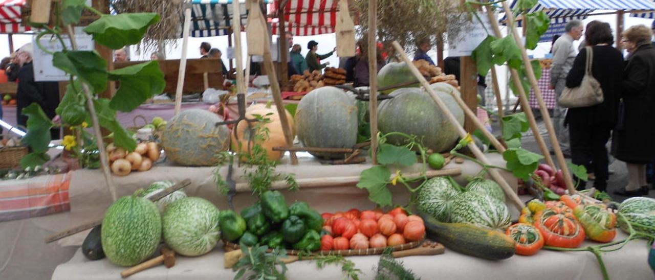 Las tormentas, preludio de desastre en la huerta