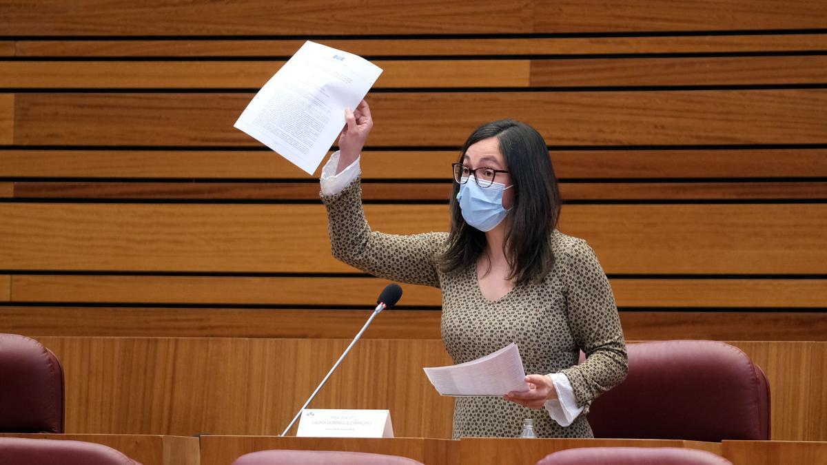 La procuradora de Podemos, Laura Domínguez, durante su intervención en las Cortes.