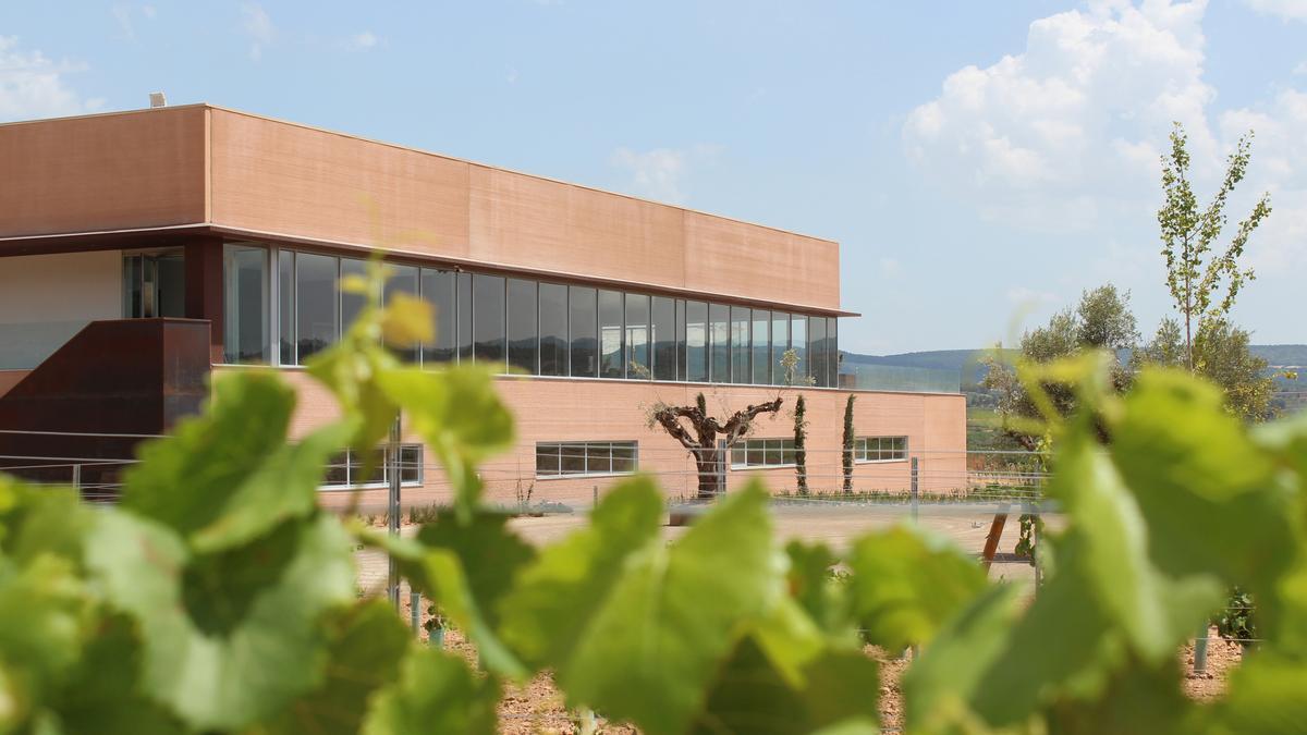 Las nuevas instalaciones de Bodegas Arráez se ubican en un paraje rodeado de viñedos.