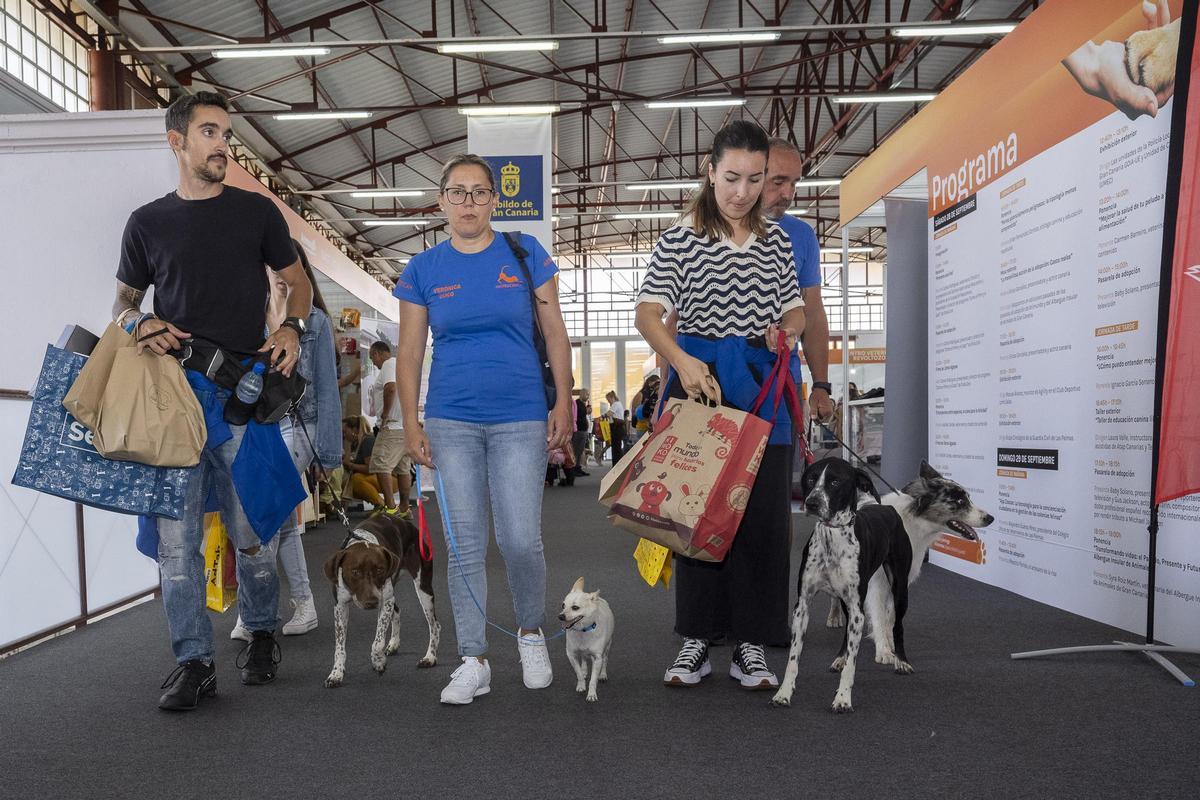 Animundo abre sus puertas en busca de adopciones para toda la vida Animundo abre sus puertas en busca de adopciones para toda la vida