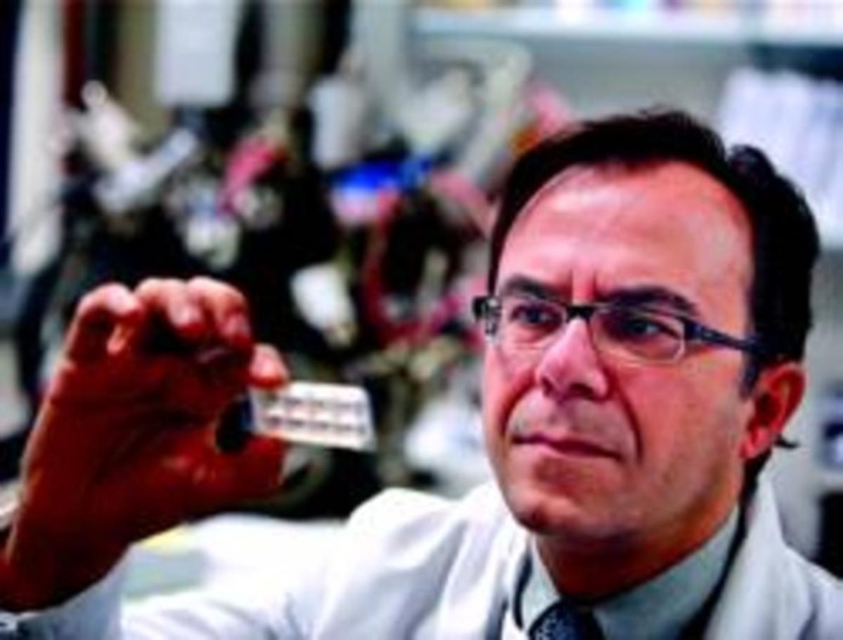 Josep Samitier, al Laboratori de Nanobioenginyeria de l’IBEC, del Parc Científic de Barcelona. La placa que subjecta consta de vuit compartiments amb un fons que sembla llis, però té realment un relleu microscòpic. Josep Samitier, al Laboratori de Nanobioenginyeria de l’IBEC, del Parc Científic de Barcelona. La placa que subjecta consta de vuit compartiments amb un fons que sembla llis, però té realment un relleu microscòpic.