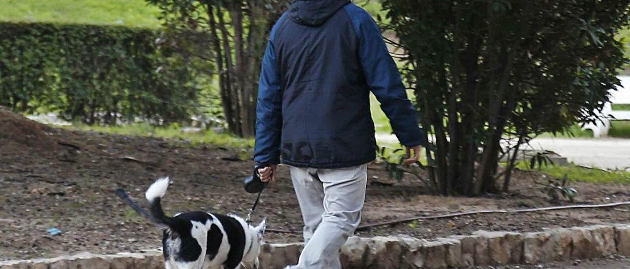 Un hombre pasea a su mascota en un parque.