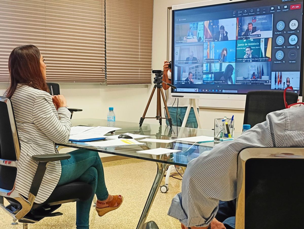 La consejera Sara Rubira en una Conferencia Sectorial de Agricultura celebrada por videoconferencia