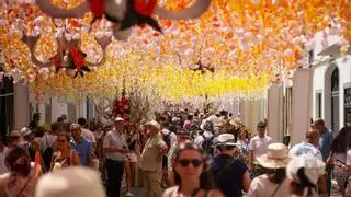 Video | Campo Maior abre “el mayor jardín del mundo” hasta el 16 de agosto