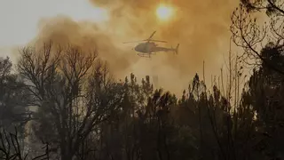 Última hora de los incendios en España | Los fuegos se complican en Ourense, Zamora y Cáceres y ya dejan tres muertos y más de 115.000 hectáreas quemadas