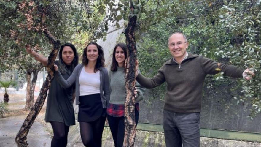 Integrantes del equipo de investigación que ha publicado el trabajo.