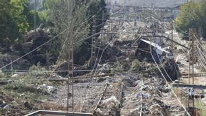 Urgeix reforçar els sistemes d’alerta i de vigilància