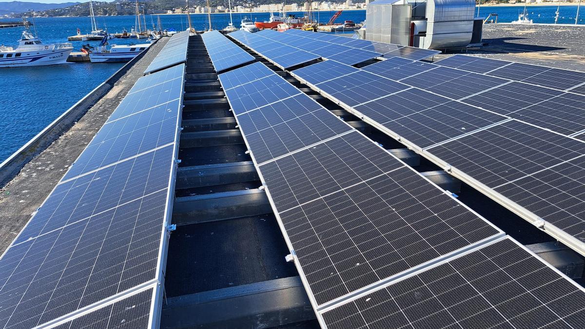 Els panells que s'han instal·lat a l'Espai del Peix.