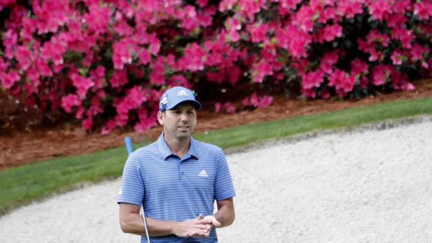 Sergio García, rodeado de las típicas Azaleas de Augusta