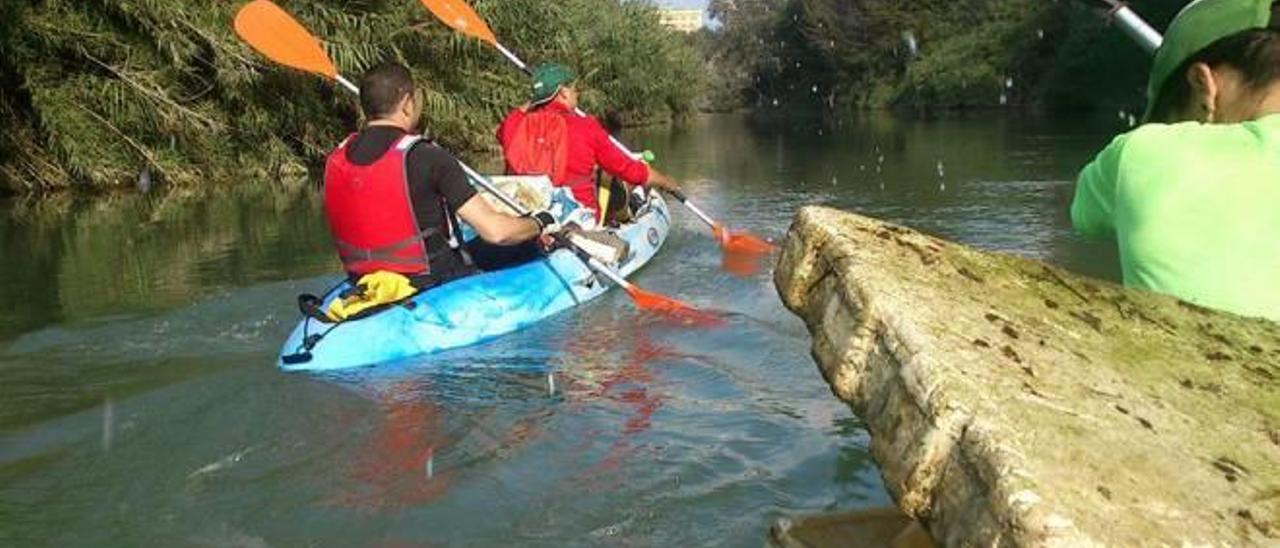 Los voluntarios limpian el río  en Manuel, Algemesí y Alzira