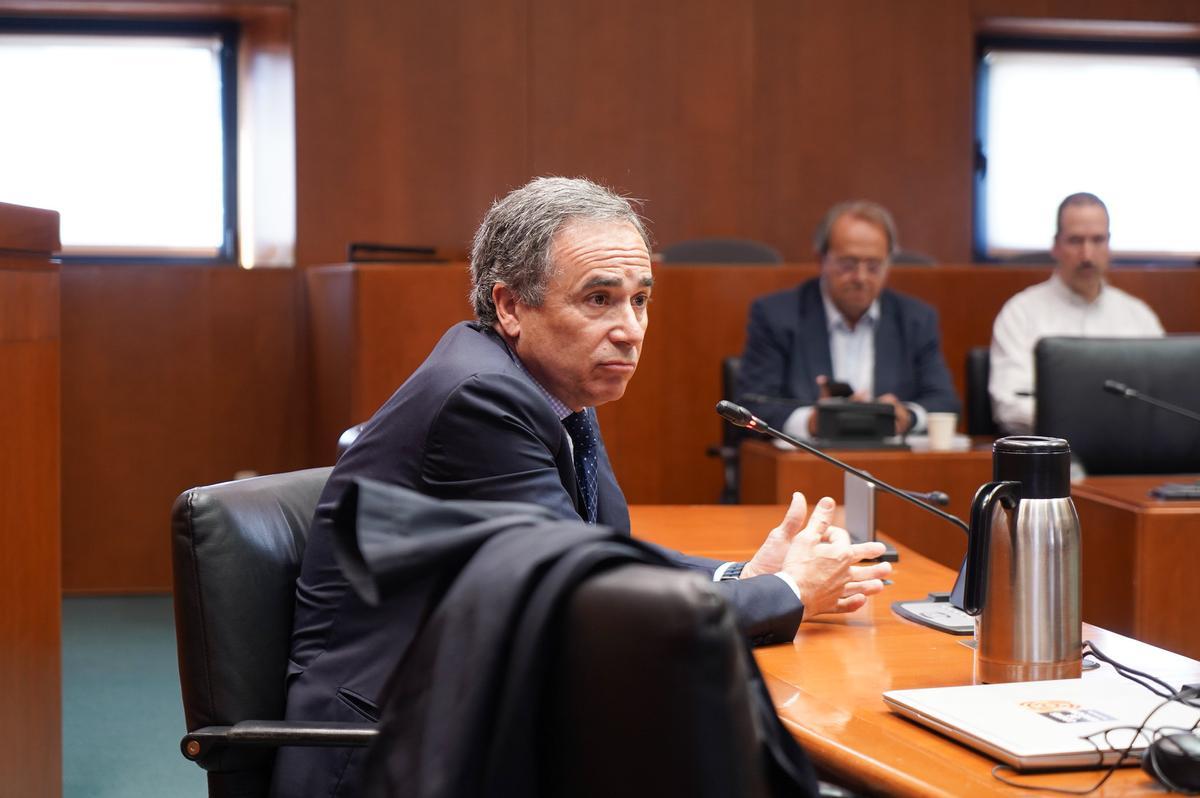 Xavier de Pedro, durante su intervención de este viernes en las Cortes.