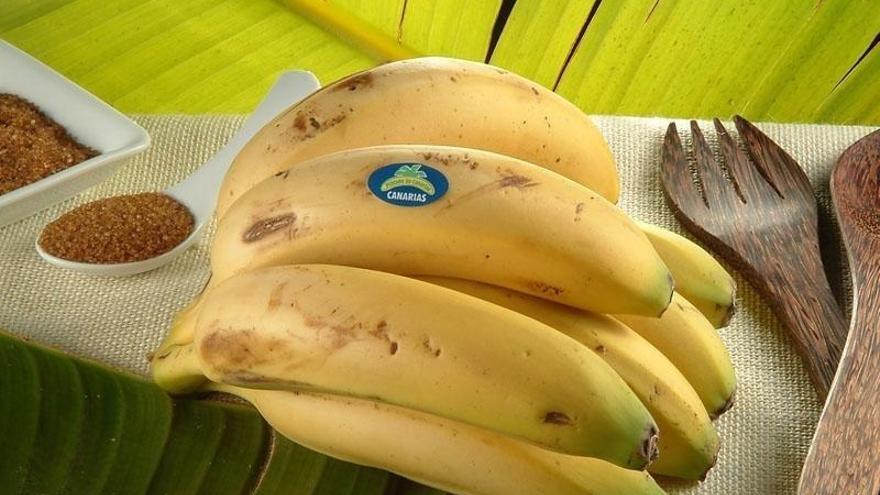 &#039;Plátano de Canarias&#039; firma un acuerdo con Glovo para impulsar la venta de fruta a domicilio