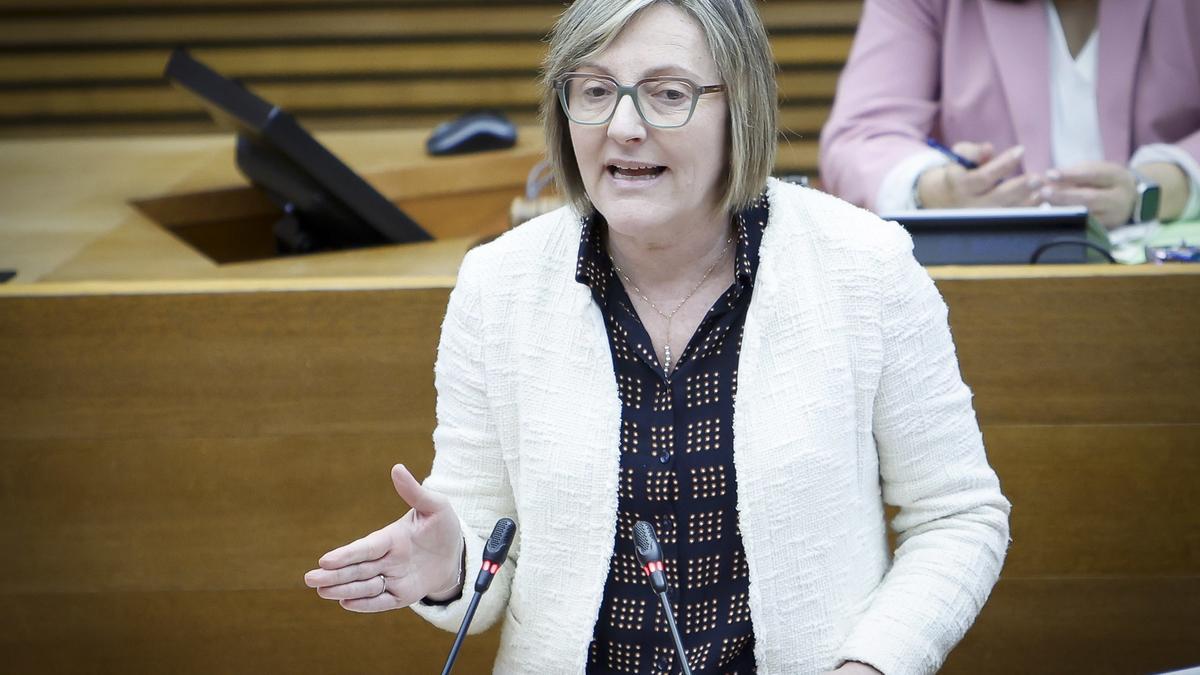 La síndica adjunta del PSPV, María José Salvador, interviene en las Corts.