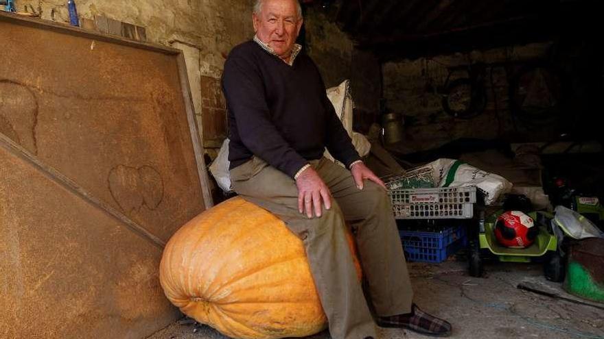 Marino Muñiz, sentado sobre la calabaza que ha cosechado en El Valle.