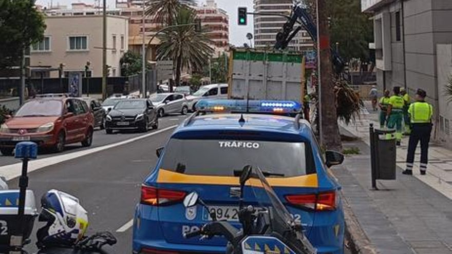 Cortes al tráfico en la Avenida Juan XXIII para intervenir una palmera