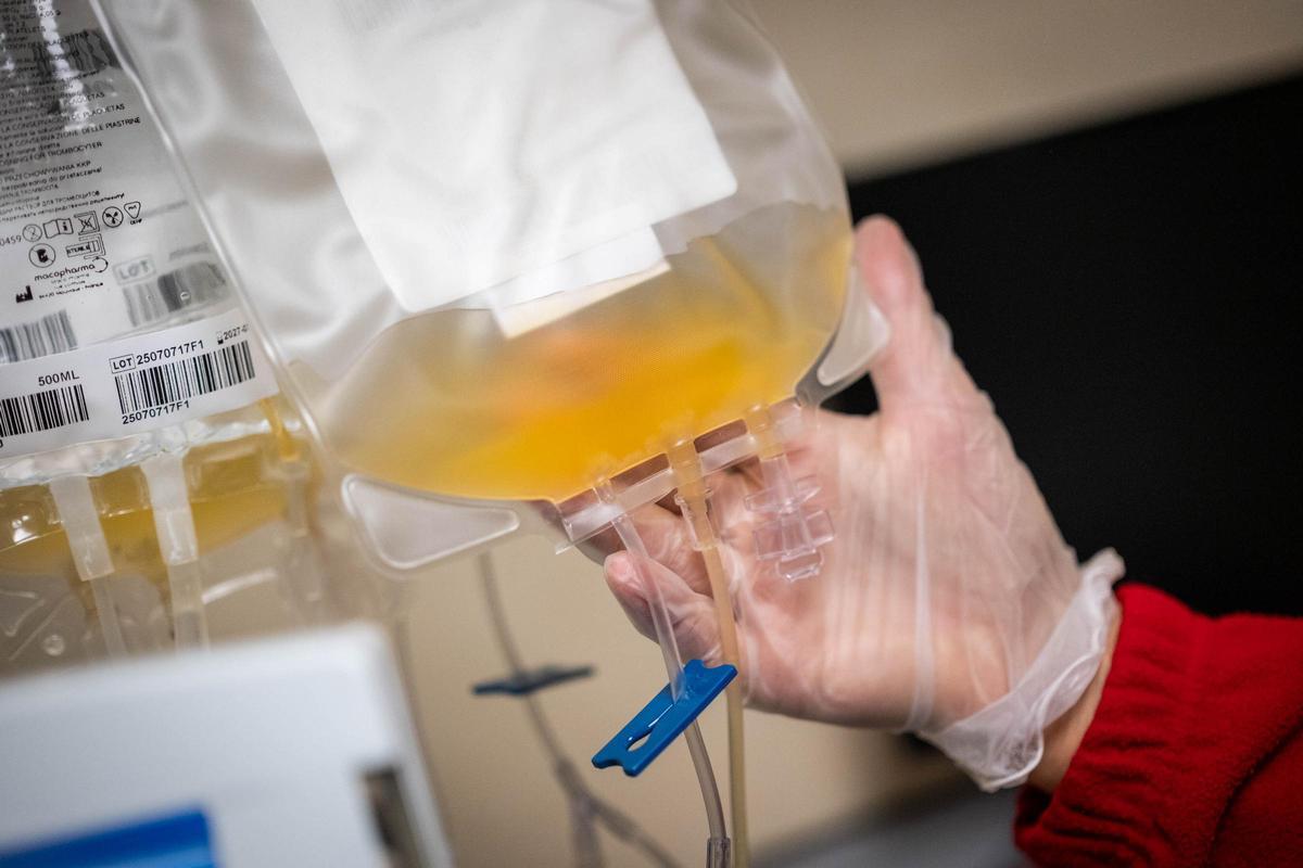 Maratón de donación de sangre