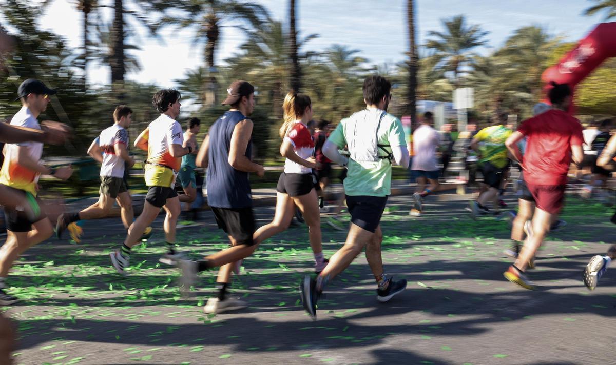 ¿Has corrido en la Media Maratón de Elche? Búscate aquí ¿Has corrido en la Media Maratón de Elche? Búscate aquí