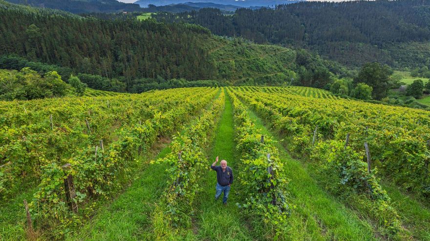 Busturialdea-Urdaibai: un viaje entre paisajes, tradiciones y sabores únicos en el corazón de Bizkaia