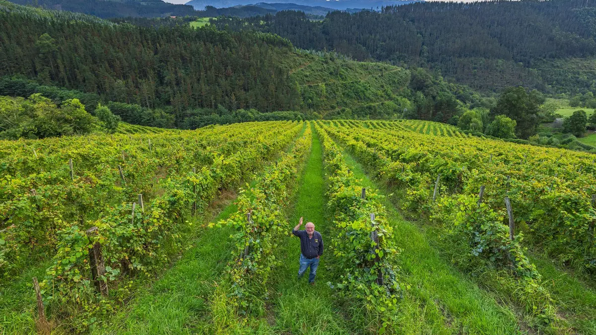 Busturialdea-Urdaibai: un viaje entre paisajes, tradiciones y sabores únicos en el corazón de Bizkaia