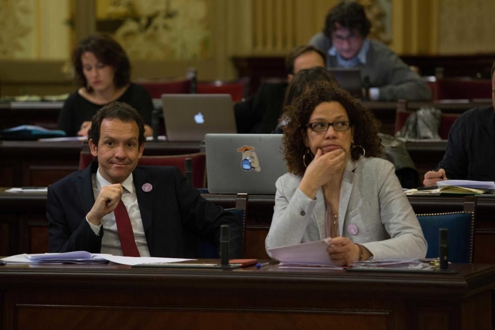 Pleno del Parlament