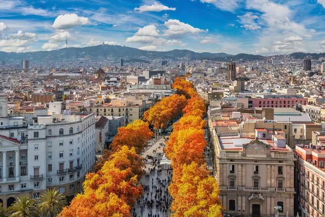 Heavy metal, ostras y champán: así es la bodega más original de Barcelona
