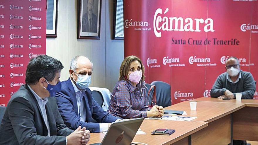 Berta Pérez, junto a Santiago Sesé, en el pleno cameral. | | E.D.