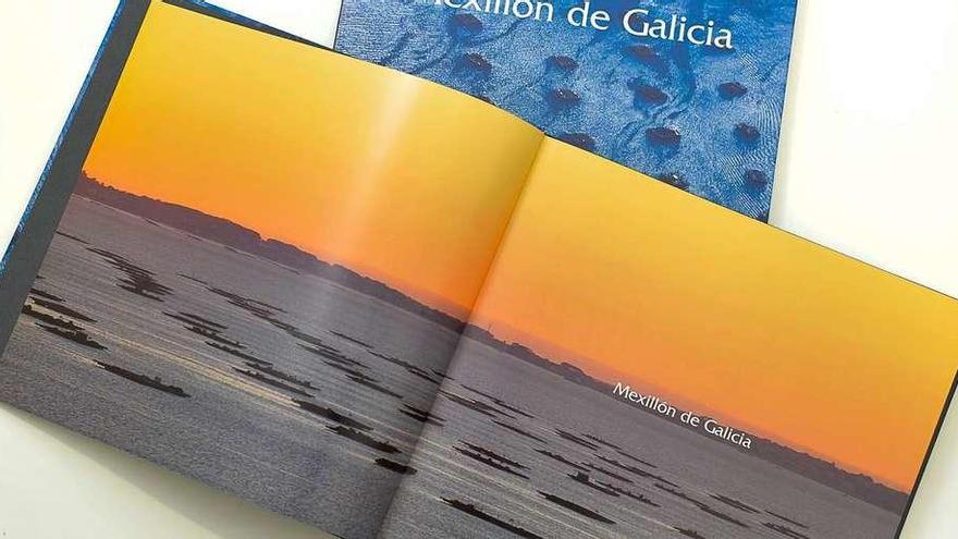 El libro &quot;Mexillón de Galicia&quot;, una colección de imágenes que rinde homenaje al sector mitilicultor. // FDV