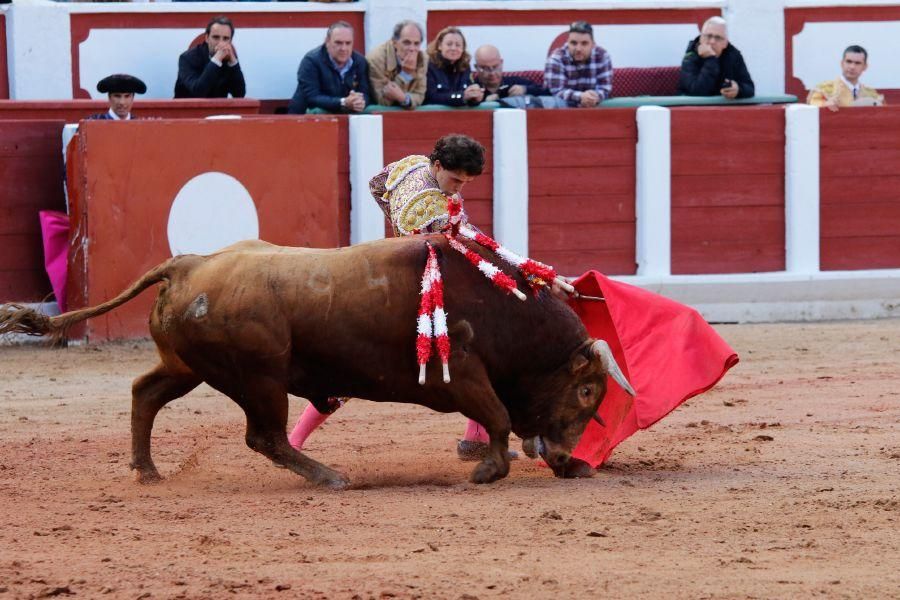 Tarde de toros en Zamora