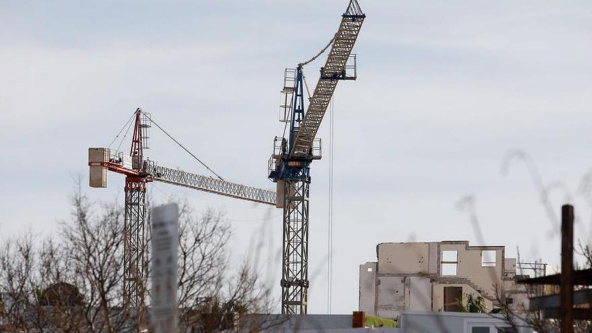 Las grúas vuelven a ser un elemento del paisaje.
