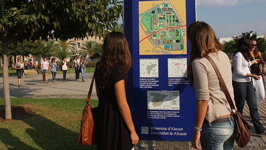 La Universidad de Alicante promueve la participación de las mujeres en todos los niveles universitarios