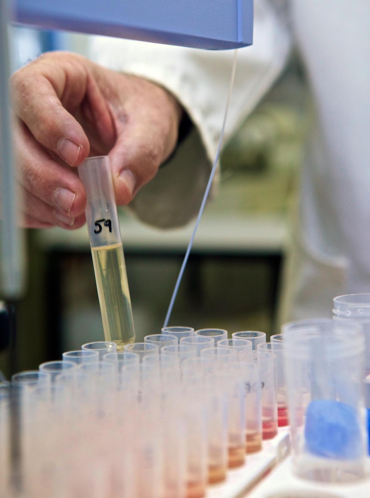 Un laboratorio de la UA