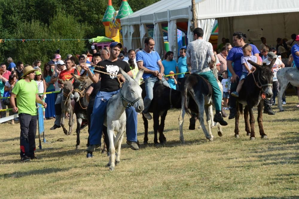 "Burrocross" en las fiestas de San Tirso